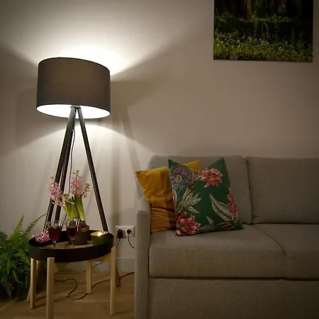 A New Designed Cosy Family *