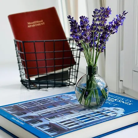 A New Designed Cosy Family Apartament Ryga