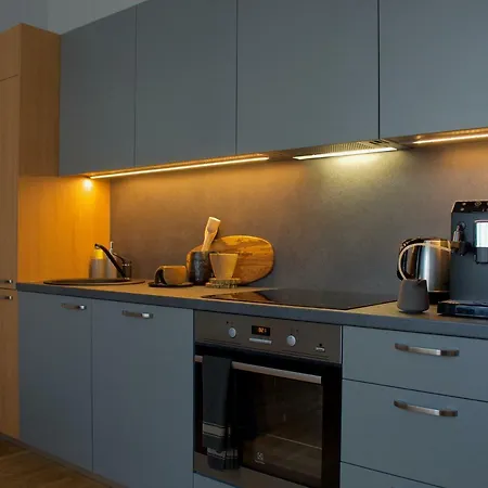 A New Designed Cosy Family Апартаменти Рига