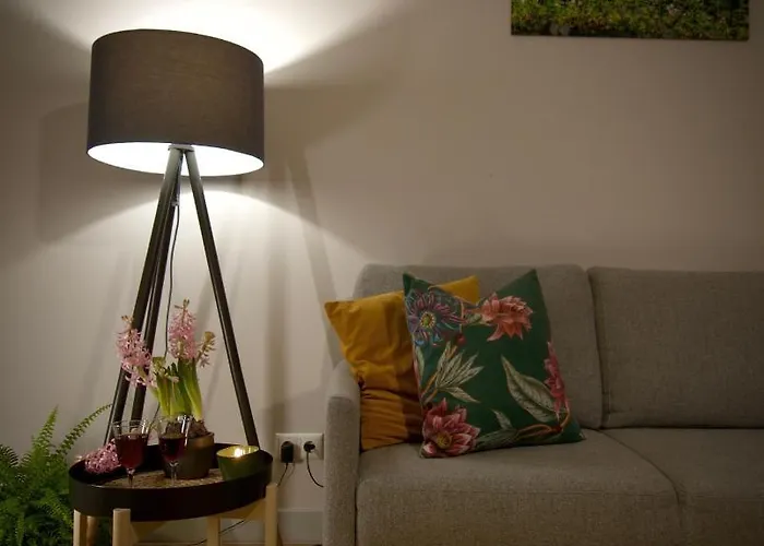 A New Designed Cosy Family *