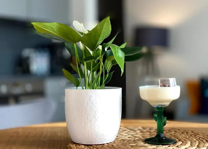 A New Designed Cosy Family *