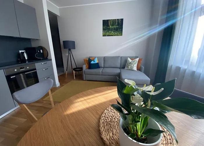 A New Designed Cosy Family