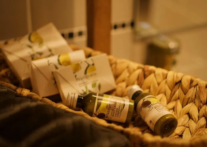 A New Designed Cosy Family Riga