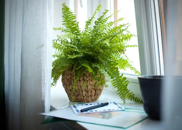 A New Designed Cosy Family Ρίγα