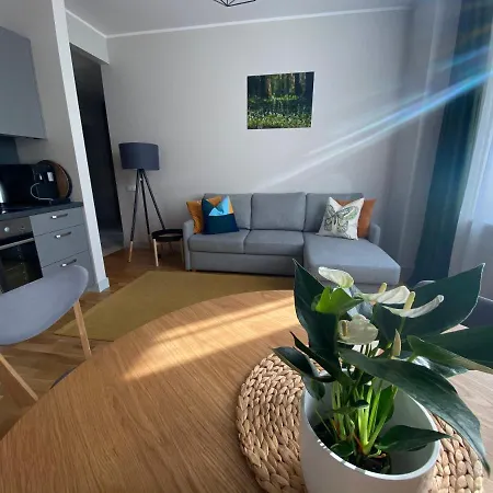 A New Designed Cosy Family