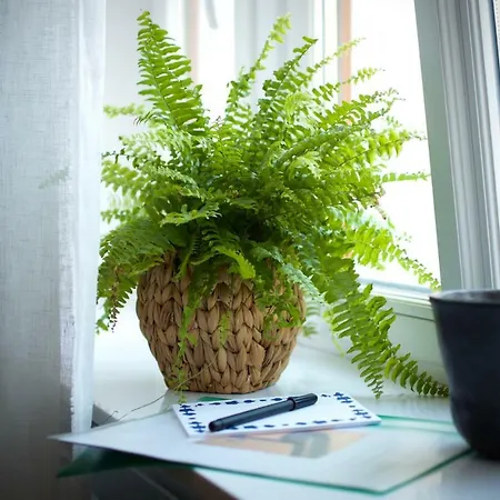 A New Designed Cosy Family Riga